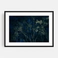 thumbnail image 1 of Mystic Oak - Palatka Florida Photography Night Sky Mystical Woodland Nature Forest Gothic Wilderness Black Framed Wall Art Print 16 x 24 inches, 1 of 4