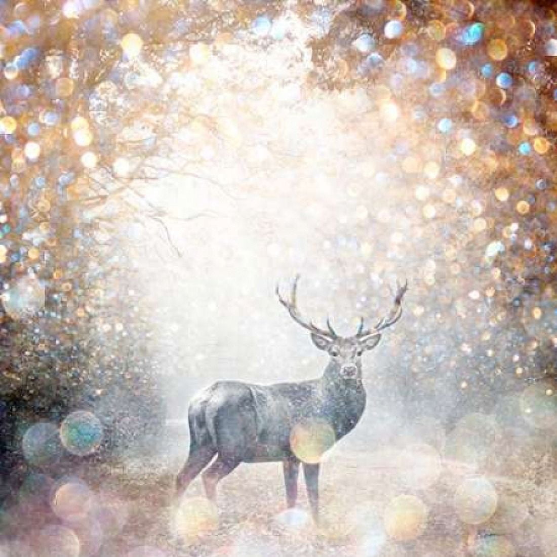 Mystical Forest 1 Canvas Art - Beau Jakobs (24 x 24)
