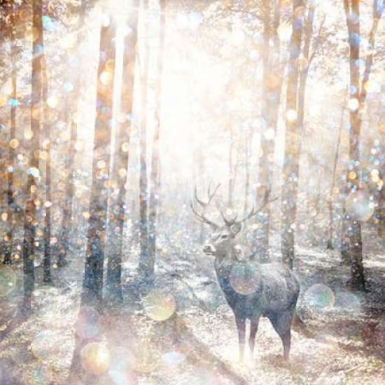 Mystical Forest 2 Canvas Art - Beau Jakobs (24 x 24)