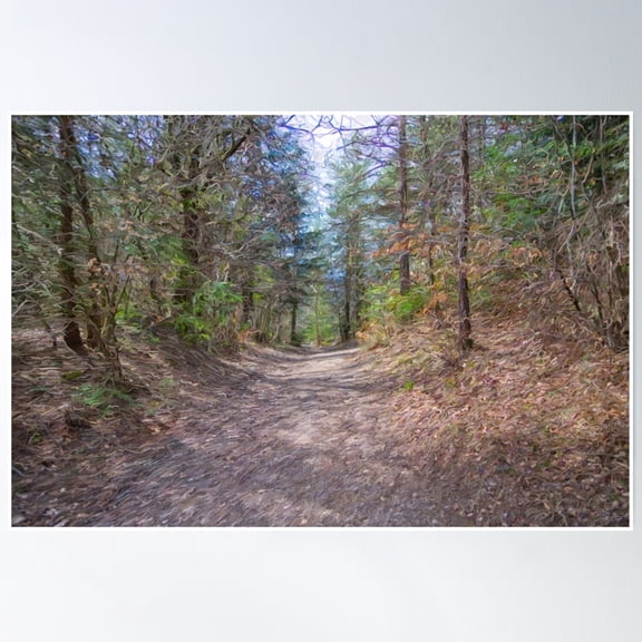 Mystical Forest Trail – Nature Pathway Poster Wall Art, Modern Wall Decor, 8x12 UNFRAMED