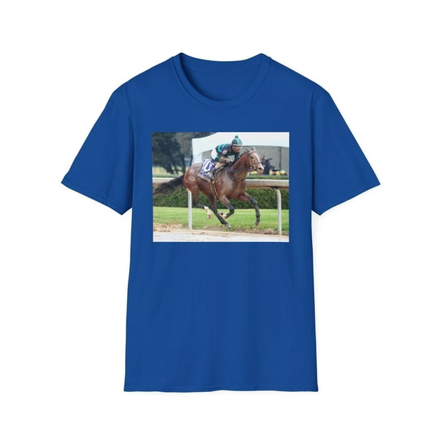 Mystik Dan Southwest Stakes Winner Oaklawn Park Hot Springs Arkansas T