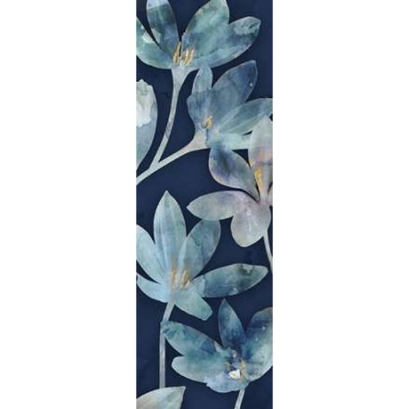 Mystique II Poster Print by Edward Selkirk (12 x 36)