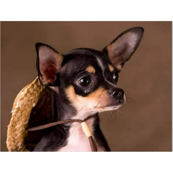 Myth of Western Films 500 Adult Puzzle Pieces, Game Props, Stress-relieving Games, Positive Thinking, Puzzle Party Fun