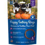 N-Bone® Puppy Teething Rings Pumpkin Flavor Dog Treat, 6 rings per bag, 7.2-oz - Natural Puppy Chew Toys Alternative for Teething Discomfort - Small and Large Dogs