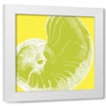 thumbnail image 1 of N Harbick 26x26 White Modern Wood Framed Wall Art Titled - Graphic Shell II, 1 of 5