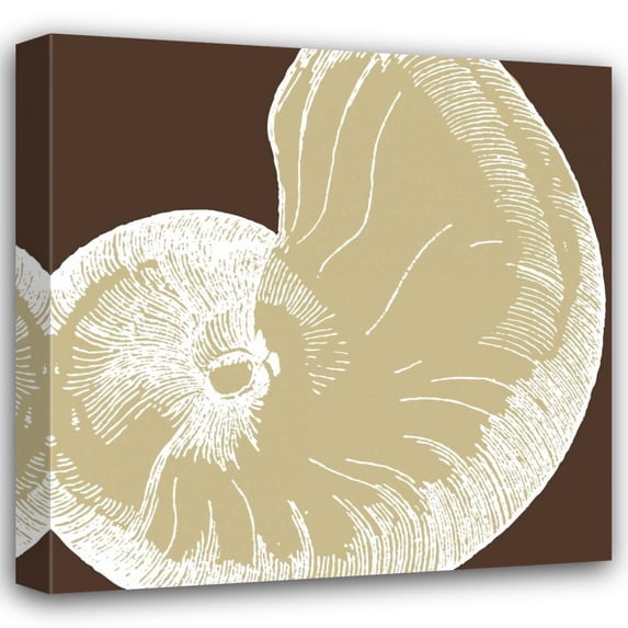 N Harbick 36x36 Gallery Wrapped Canvas Wall Art Titled - Natural Shell II