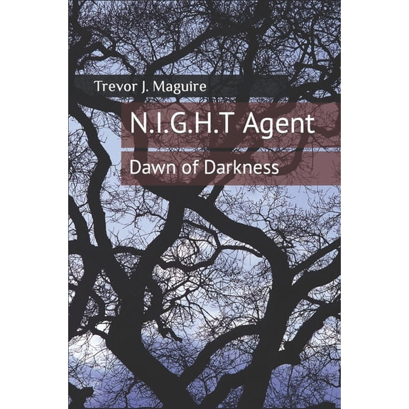N.I.G.H.T Agent: N.I.G.H.T Agent : Dawn of Darkness (Series #1) (Paperback)