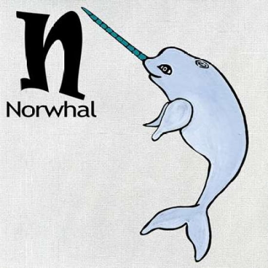 N - Norwhal Canvas Art - Shanni Welsh (24 x 24)