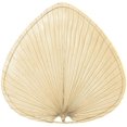 thumbnail image 1 of N Oval Palm Blade Set-22 Inches Tall And 22 Inches Wide Fanimation Fans Pup1, 1 of 2