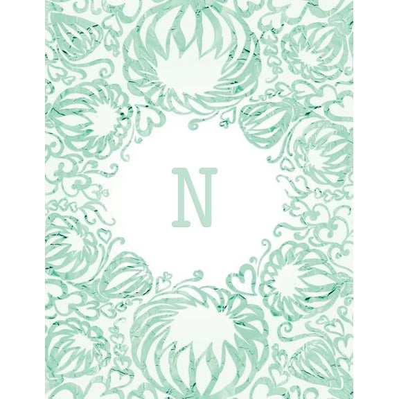 N (Paperback)