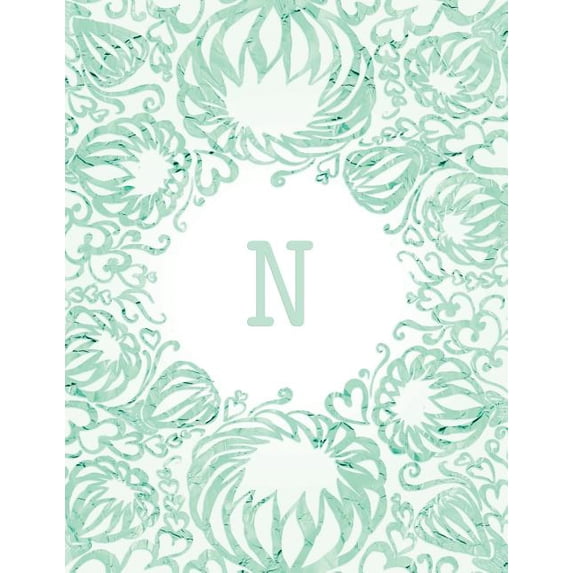N (Paperback)