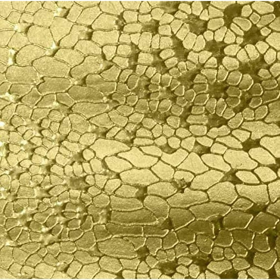 N'icePackaging - 50 Qty Gold Textured Imported Cotton Filled Ring Jewelry Boxes - for Rings/Jewels/Small Earings & Keepsakes - 1 7/8" x 1 1/4" x 5/8"