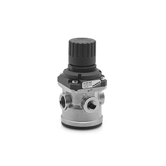 N1204-R00 Pressure Regulator, 1/4", 0.5 to 10 Bar, Self Relieving$$Plumbing & HVAC