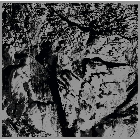 Michel Comte: Light, (Paperback)