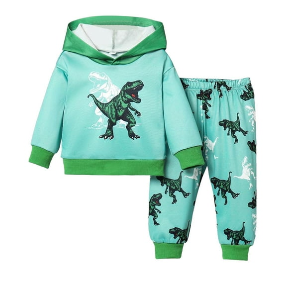 NAFUU Toddler Boys Sweatsuits Dinosaur Print Long Sleeve Hooded Sweatshirt Top And Pants Two Piece Set Baby Boy Soft Comfy Athletic Outfits Temperament Suit 2-3 Years