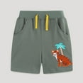 thumbnail image 1 of NAISIBABY Boys Athletic Shorts, Graphic Loose Casual Drawstring Summer Cotton Shorts Gray 3-4T, 1 of 6