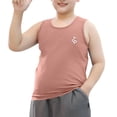 thumbnail image 1 of NAISIBABY Boys Cotton Tank Tops, Sleeveless Ultra-Soft Crewneck Kids Summer Undershirts Brown 11T, 1 of 6