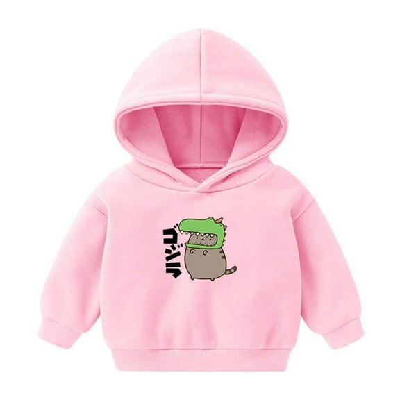 NAISIBABY Boys Girls Hoodie, Long Sleeve Casual Cute Pullover Sweatshirt Pink 2-3T
