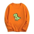 thumbnail image 1 of NAISIBABY Boys Girls Long Sleeve Tops, Cotton Crew Neck Casual Kids Prints Blouse Orange 14T, 1 of 2
