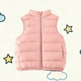 thumbnail image 1 of NAISIBABY Boys Girls Puffer Vest Jacket, with Pockets Full Zipper Stand Collar Winter Fashion Thicken Warm Outerwear Pink 10T, 1 of 7