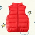 thumbnail image 1 of NAISIBABY Boys Girls Puffer Vest Jacket, with Pockets Stand Collar Full Zipper Winter Fashion Thicken Warm Outerwear Red 10T, 1 of 7