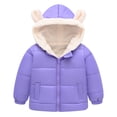 thumbnail image 1 of NAISIBABY Boys Girls Quilted Coat, Zip Up Solid Color Plush Thicken Hooded Winter Casual Coat Purple 4-5T, 1 of 9