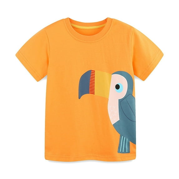 NAISIBABY Boys Graphic Tee 6 T, Crew Neck Short Sleeve Cotton Summer Casual Pullover T-Shirt Orange