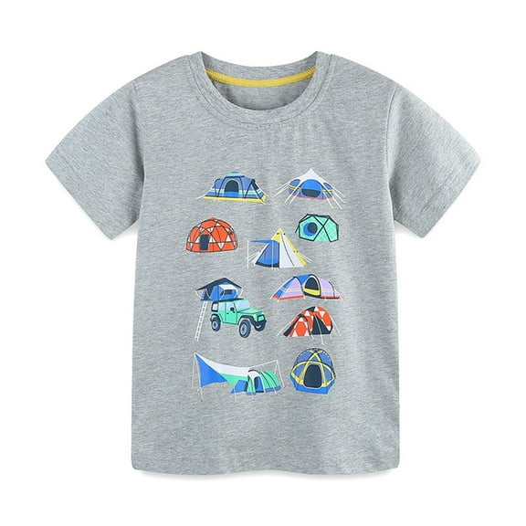 NAISIBABY Boys Graphic Tee, Short Sleeve Crew Neck Cotton Summer Casual T-Shirt Gray 2-3T