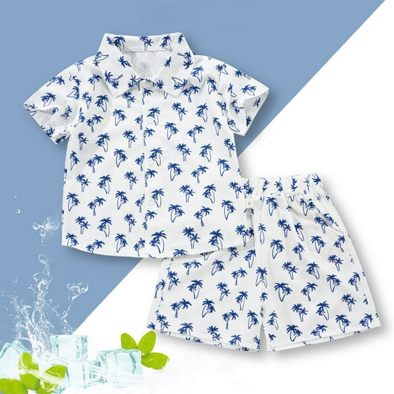 NAISIBABY Boys Summer Outfit, Short Sleeve Buttons Shirt Elastic Waist Shorts Beach Hawaii Set 2-Piece Blue 3-4T