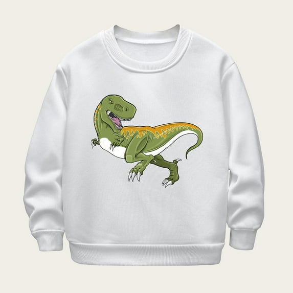 NAISIBABY Boys Sweatshirt, Crew Neck Dinosaur Prints Long Sleeve Pullover Tops White 7-8T