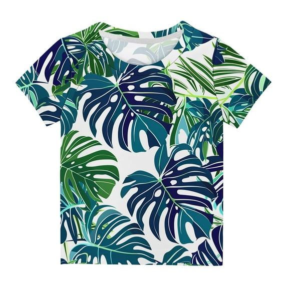 NAISIBABY Boys T-Shirt, Short Sleeve Crew Neck Causal Kids Summer Graphic Top Multicolor 3-14T