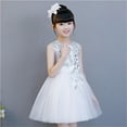thumbnail image 1 of NAISIBABY Girls Flower Dress, Embroidered Mesh Sparkly Sequin Sleeveless Kids Wedding Party Gown Princess Dress White 12T, 1 of 4
