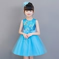 thumbnail image 1 of NAISIBABY Girls Flower Dress, Sleeveless Embroidered Mesh Sparkly Sequin Kids Wedding Party Gown Princess Dress Blue 7T, 1 of 4