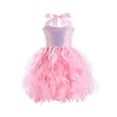 thumbnail image 1 of NAISIBABY Girls Flower Sequin Dress, Pageant Rainbow Mesh Tutu Birthday Party Princess Dress Pink 8-10T, 1 of 2