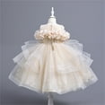 thumbnail image 1 of NAISIBABY Girls Formal Pageant Dress, Ruffled Lace New Sleeveless Embroidery Mesh Wedding Birthday Dress Prom Maxi Dress Beige 8T, 1 of 7