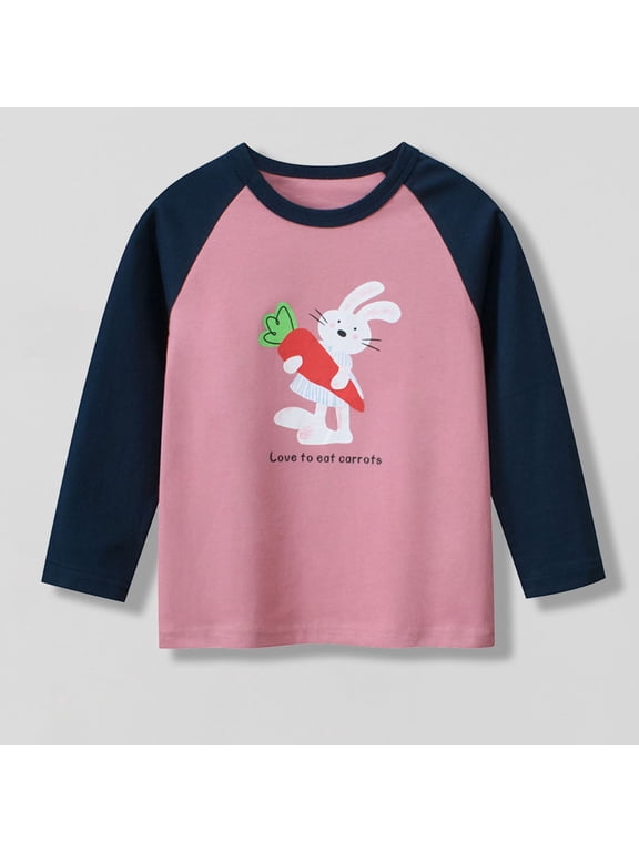 Girls Raglan Long Sleeve T-Shirt, Crewneck Cotton Comfortable Cute Graphic Casual Tee Pink 2T