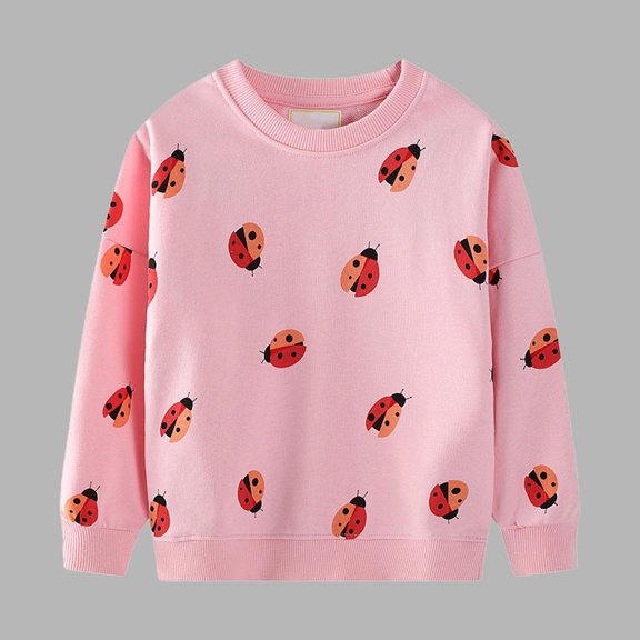 NAISIBABY Little and Big Girls Sweatshirt, Crewneck Fashion Prints Long Sleeve Cotton Casual Pullover Tops Pink 3T