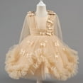 thumbnail image 1 of NAISIBABY Princess Dress for Girls, Lace Long Sleeve Mesh Embroidered Tulle Elegnat Party Birthday Pageant Flower Dress Beige 8T, 1 of 9