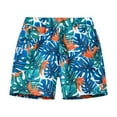 thumbnail image 1 of NAISIBABY Summer Kids Boys Girls Beach Vacation Printed Shorts, Children's Beach New Fashion Sports Shorts Blue 3 T, 1 of 6