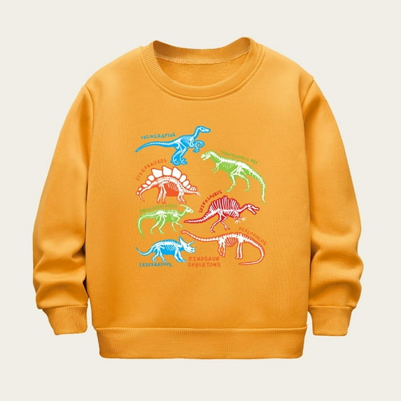 NAISIBABY Sweatshirt for Boys, Crew Neck Dinosaur Prints Long Sleeve Casual Pullover Tops Yellow 4-5T
