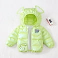 thumbnail image 1 of NAISIBABY Toddler Puffer Jacket, Lightweight Warm Cute Hooded Zip Up Fall Winter Clothes Boys Girls Quilted Coat Green 4T, 1 of 9