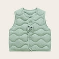thumbnail image 1 of NAISIBABY Toddler Vest jacket (1-8T), Graphic Buttons Sleeveless Fall Winter Thermal Boys Girls Puffer Coat Green, 1 of 4