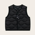thumbnail image 1 of NAISIBABY Toddler Vest jacket, Graphic Buttons Fall Winter Thermal Sleeveless Boys Girls Puffer Coat Black 3T, 1 of 4