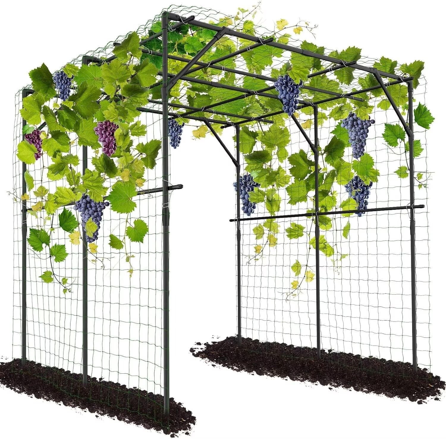 NAIZEA 79" Black Metal Arbor for Climbing Plants, Outdoor Garden ...