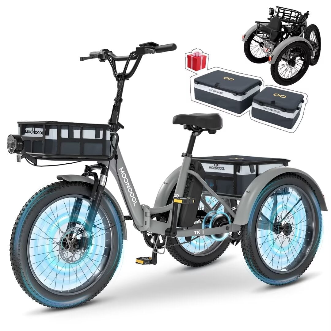 NAIZEA TK1 Folding Electric Tricycle with Rack Bags, 750W Motor 48V