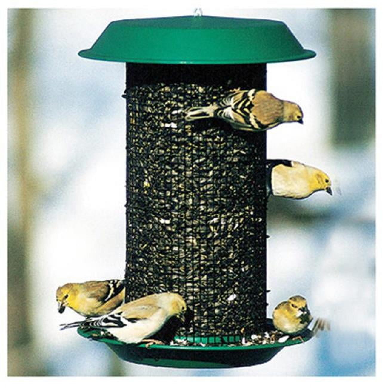 NAMAG1 Plastic Oil Sunflower Bird Magnum Feeder, Hunter Green