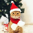thumbnail image 1 of NAMSAN Cat Santa Hat with Scarf -Christmas Costume Set Puppy Dog Cat Santa Hat, Red S, 1 of 8