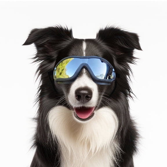 NAMSAN Dog Goggles for German Shepherd/ Golden retriever Eye Protection with Adjustable Straps