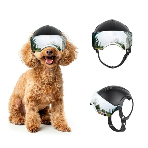 NAMSAN Dog Helmet with Drop-Down Clear Dog Goggles for Small Dogs (Silver lenses)