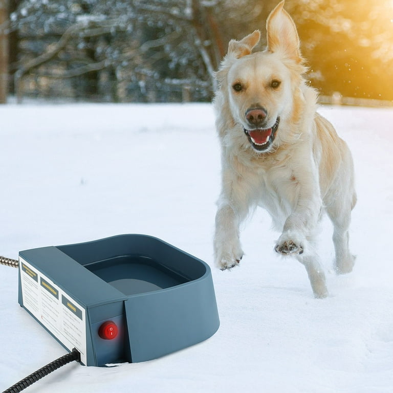 Auto fill clearance pet water bowl